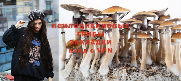 не бодяженный Армянск