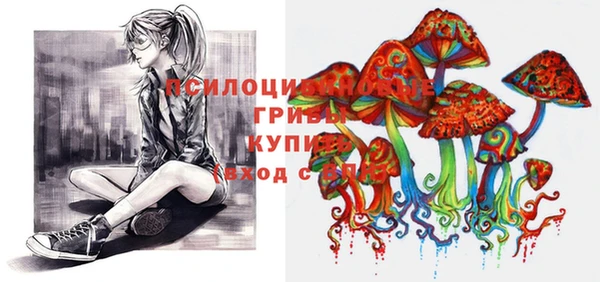 MESCALINE Аркадак