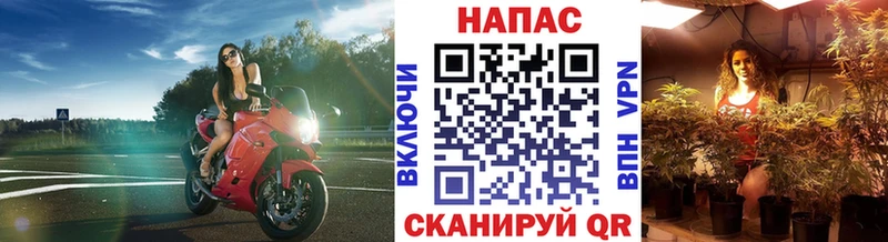 Канабис OG Kush  гидра сайт  Тимашёвск  наркотики 